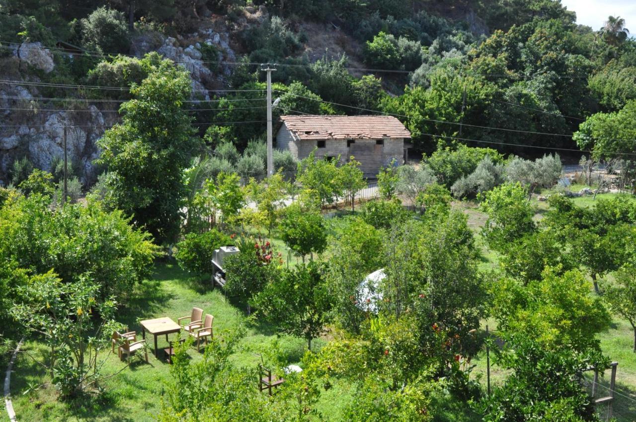 San Simon Hotel Çıralı Eksteriør billede