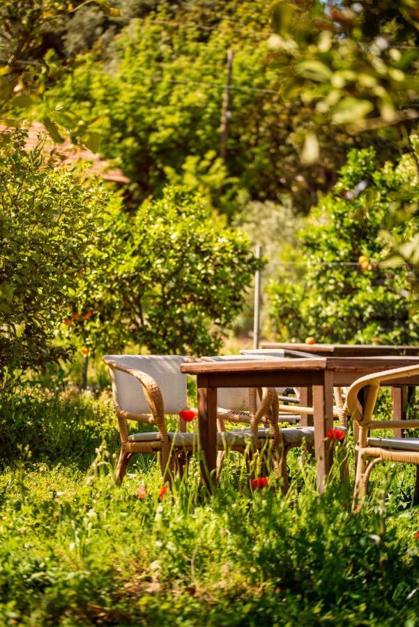 San Simon Hotel Çıralı Eksteriør billede